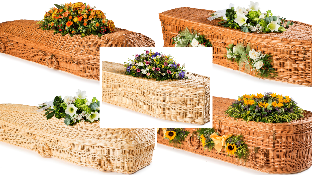 European Willow Coffins